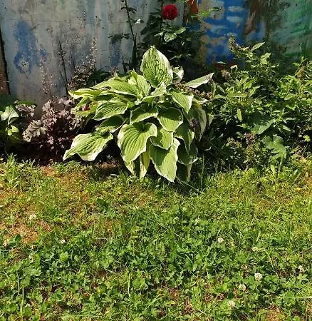 Daire Centrum Garden - ,,parking Free