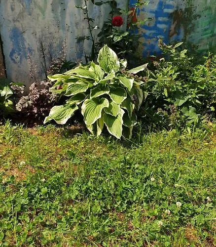 アパート Centrum Garden - ,,parking Free